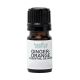 Ginger Orange Essential Oil Blend 5 ml