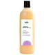 Shampoo / Body Wash with 16 oz size Joyful illustrated