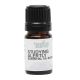 Studying Alertly Essential Oil Blend