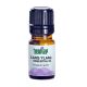 Ylang Ylang Essential Oil