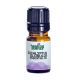 Eucalyptus Globulus Essential Oil